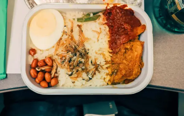 Navigating Airline Halal Meals: Sourcing Standards, Transparency Gaps, and Passenger Challenges